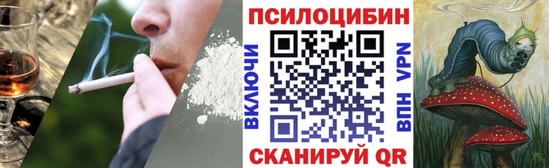 Галлюциногенные грибы ЛСД  купить  цена  Медвежьегорск 