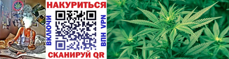 Каннабис OG Kush  Медвежьегорск 